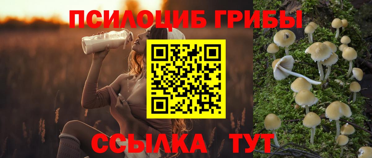 Галлюциногенные грибы прущие грибы Дюртюли